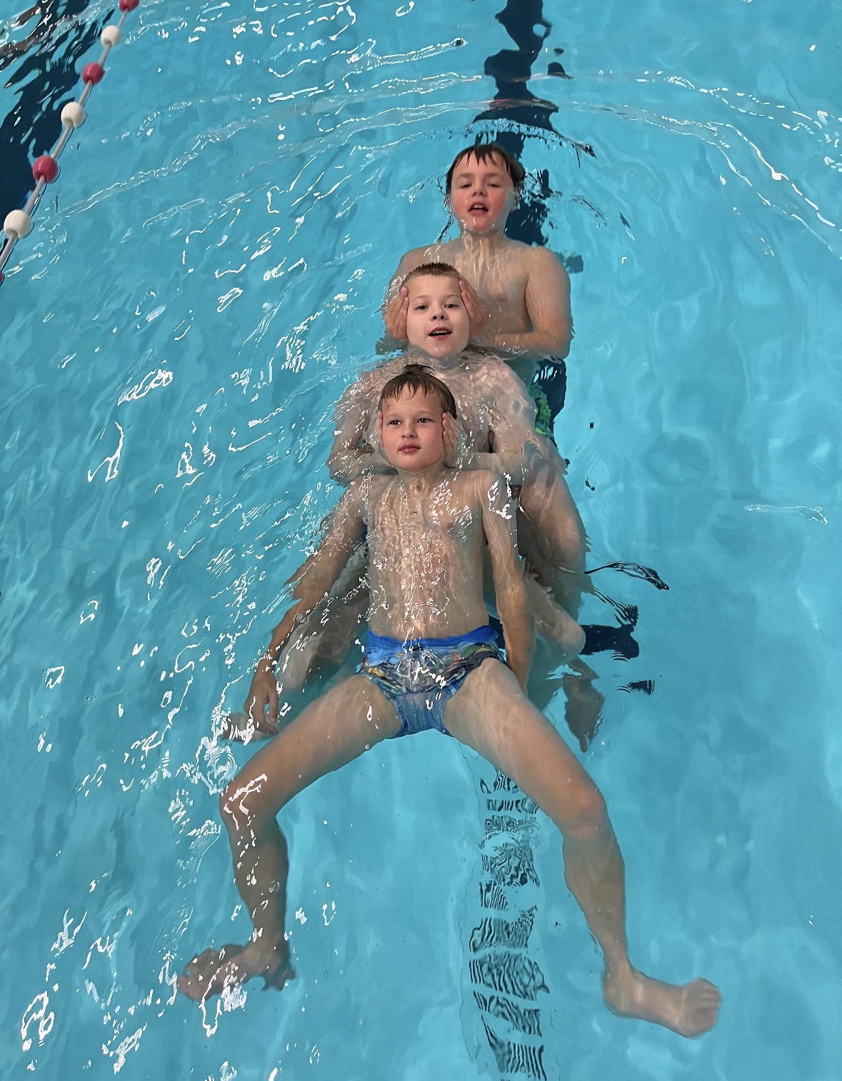 Zwemmend Redder opleiding